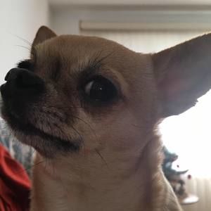 Meet your Posher, Adri